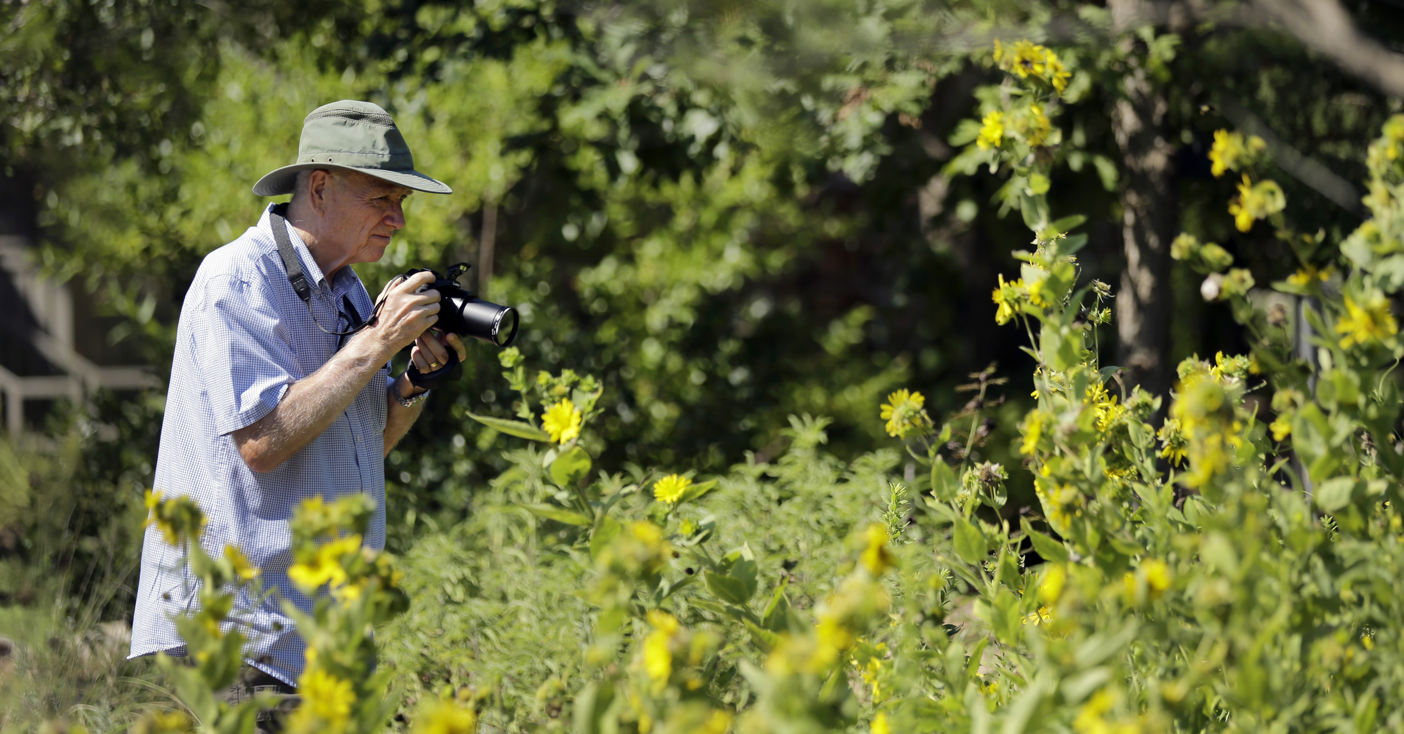 A visitor takes photos at the Lady Bird Johnson Wildflower Center, Thursday, Aug. 14, 2014, in Austin, Texas. (AP Photo/Eric Gay)