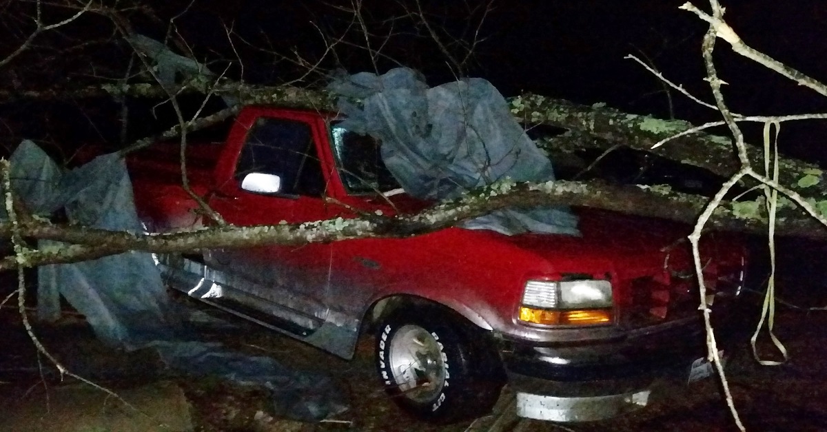 A fallen tree rests atop a pickup truck in Holly Springs, Miss., after a storm struck the town on Wednesday, Dec. 23, 2015. A storm system killed several people as it swept across the South, and officials are searching for missing people into the night. (AP Photo/Phillip Lucas)
