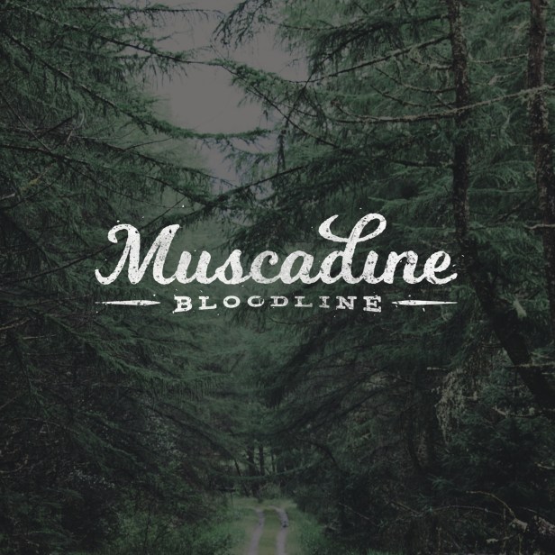 muscadine-bloodline