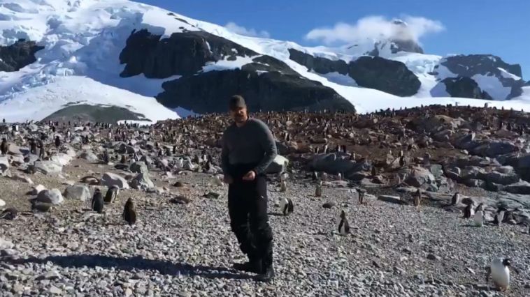 David Harbour penguins Antarctica Greenpeace dancing Stranger Things