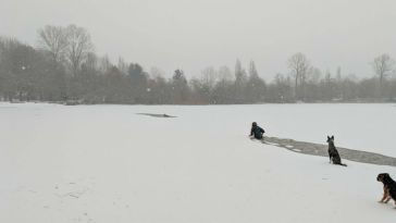 Woman rescues dog from frozen lake in Vancouver, Canada