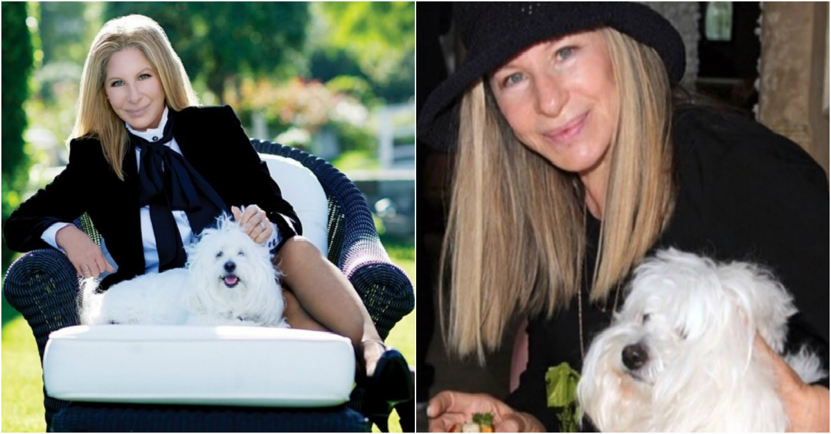 Barbra Streisand cloned her beloved dog