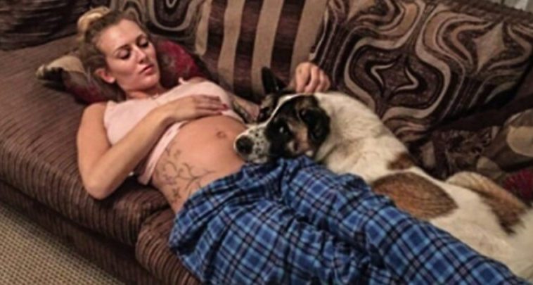 Pregnant Woman Saved By Dog