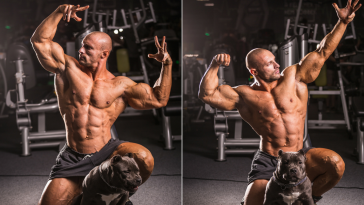 Big Guy Insecurity Big Dog