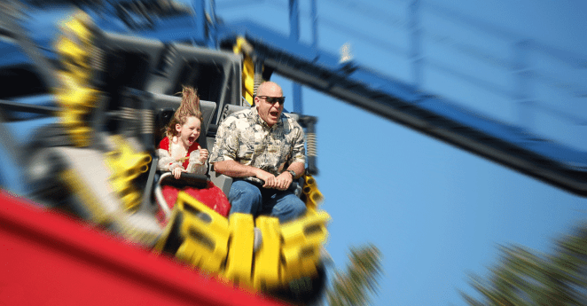 Roller Coaster Kidney Stones