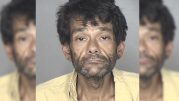 Shaun Weiss Mighty Ducks Arrest