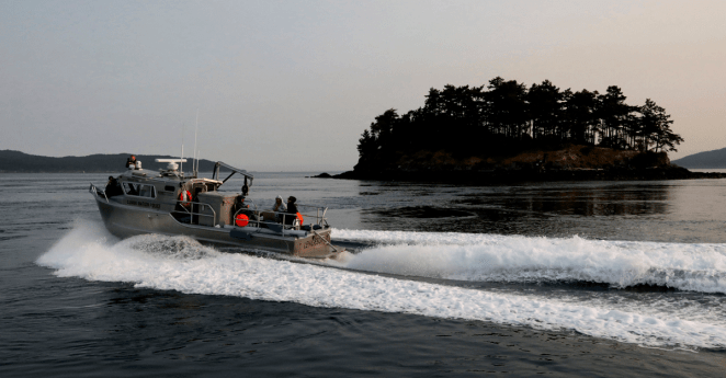 Teams Prepare Feed Ailing Orca