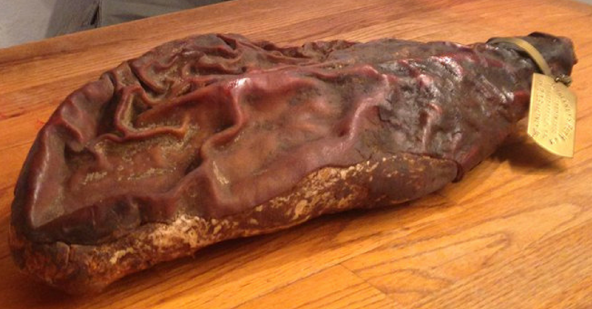 Worlds Oldest Ham Archives Rare