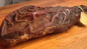 World's Oldest Ham