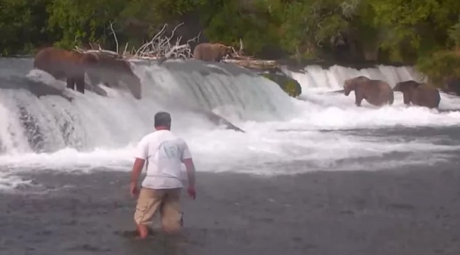 Man Risks Life To Take Selfie With Bears and Is Now Facing Charges