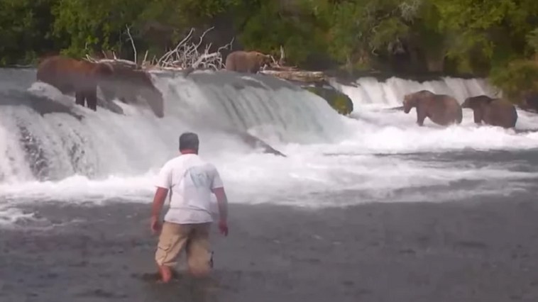 Man Risks Life To Take Selfie With Bears and Is Now Facing Charges