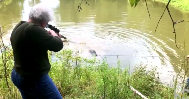 Grandma mayor kills gator