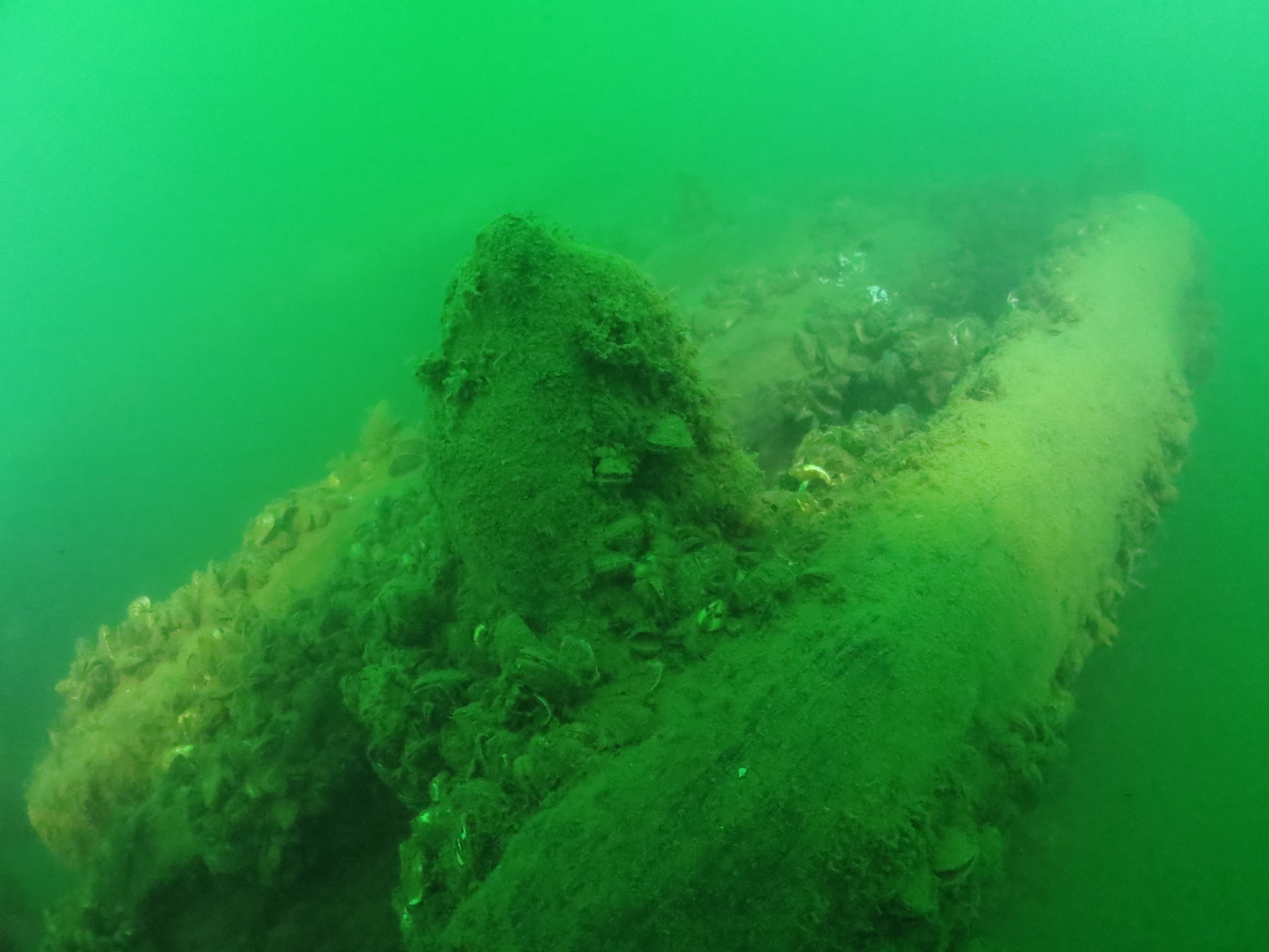 Shipwreck Lake Erie