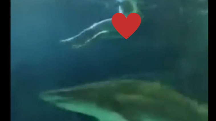 Naked Man Shark Tank