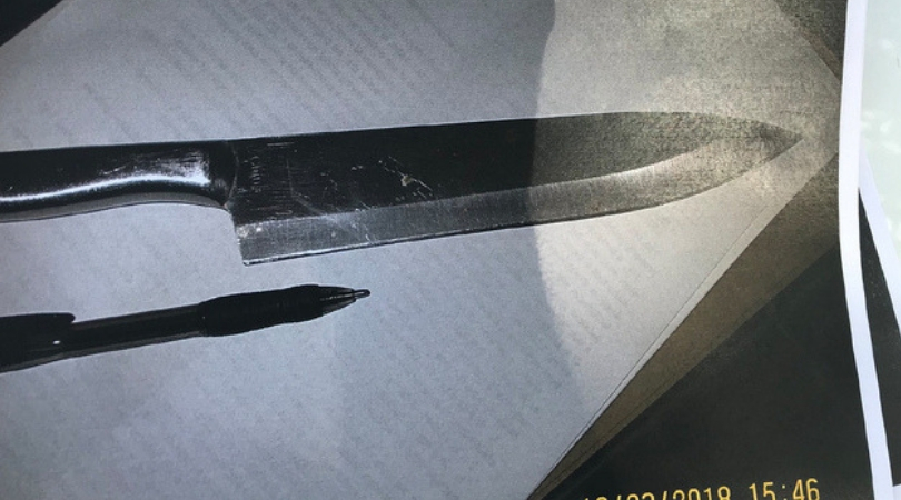 2 Girls Planned Knife Attack to “Leave Body Parts at the Entrance” of Middle School