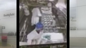 Watch: Meat Plant Worker Caught On Camara Urinating on Production Line