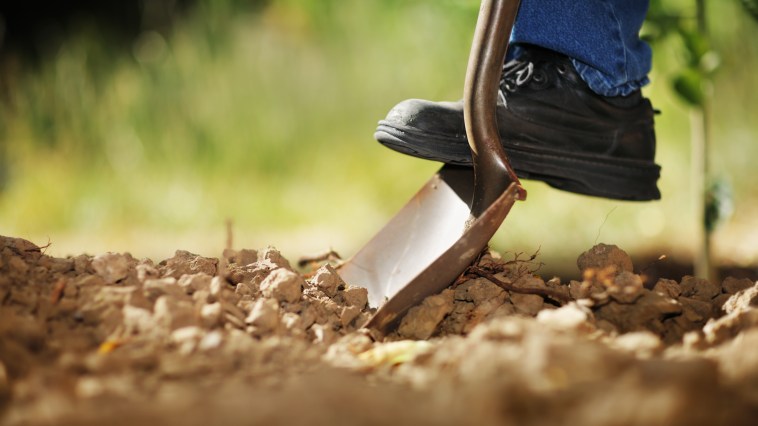 Digging soil with shovel