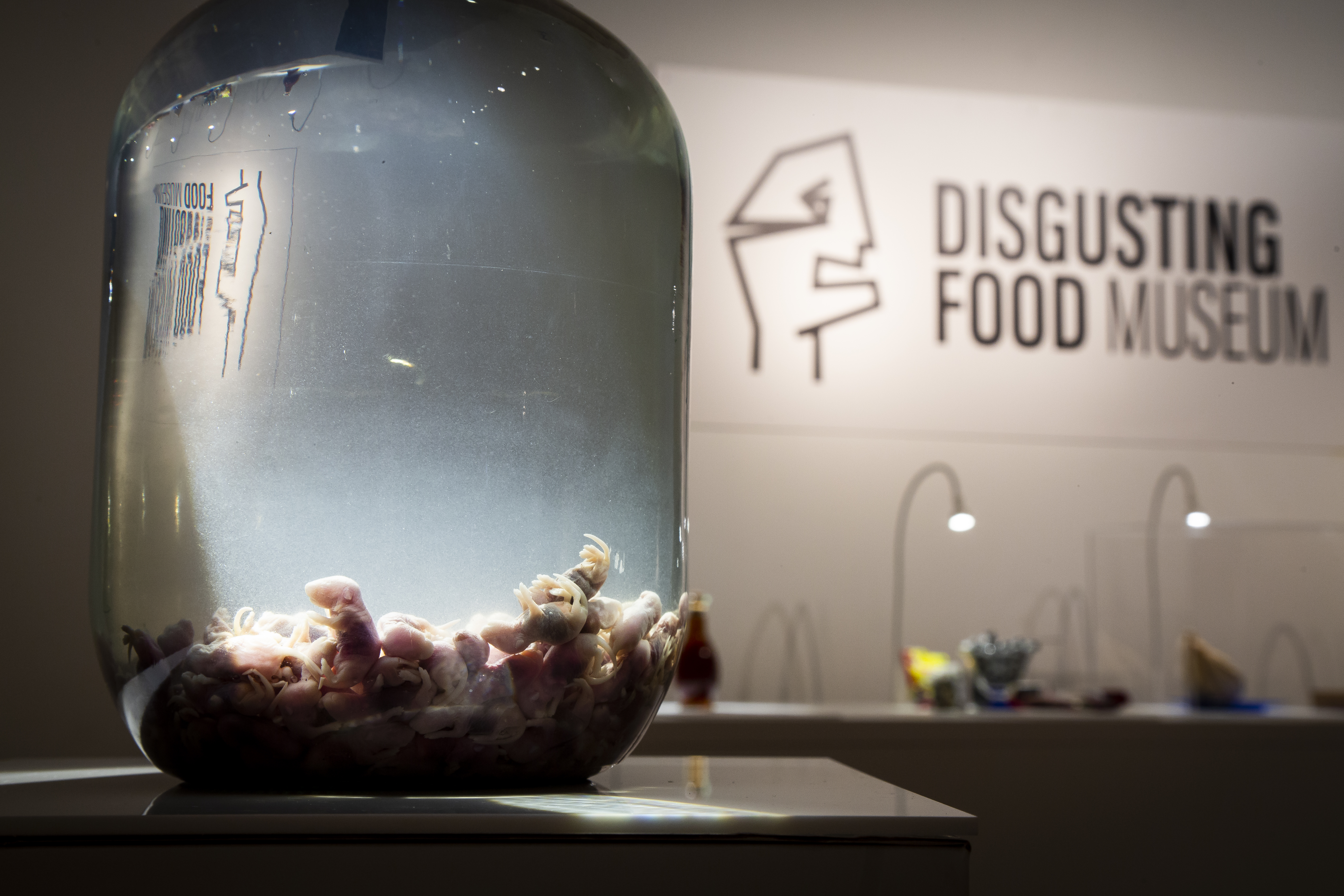 Sweden Disgusting Food Museum
