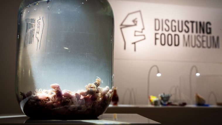 Sweden Disgusting Food Museum