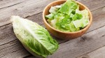 CDC Warns Against Eating Romaine Lettuce After E.Coli Outbreak in 11 States
