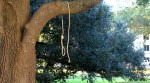 Nooses Found by Mississippi Capitol Day Before Senate Runoff