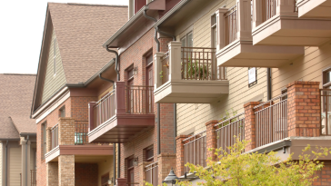 Chicago Man Kills Dogs