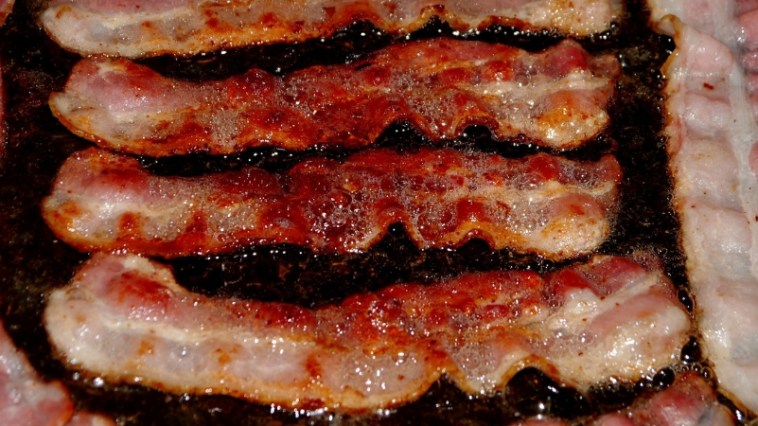 PETA Wants You to Stop Saying “Bringing Home the Bacon” and More Idioms