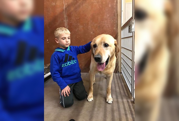 7-Year-Old Rescues More Than 1,300 Dogs From High-Kill Shelters