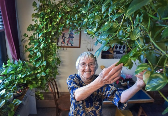 Dying Woman Plant Care