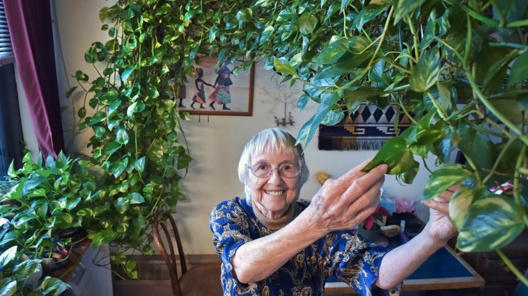 Dying Woman Plant Care