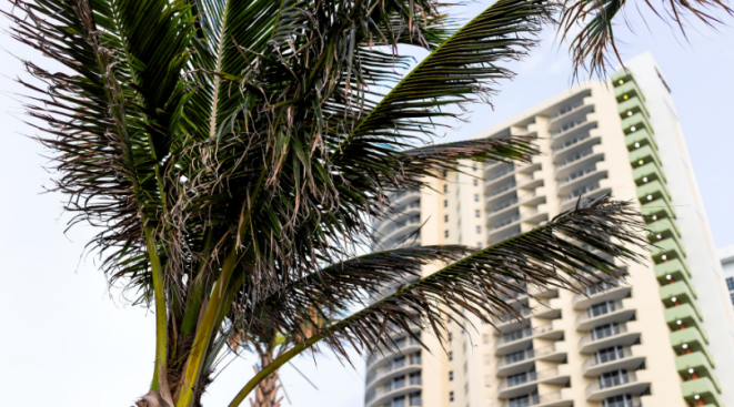 florida hotel lawsuit