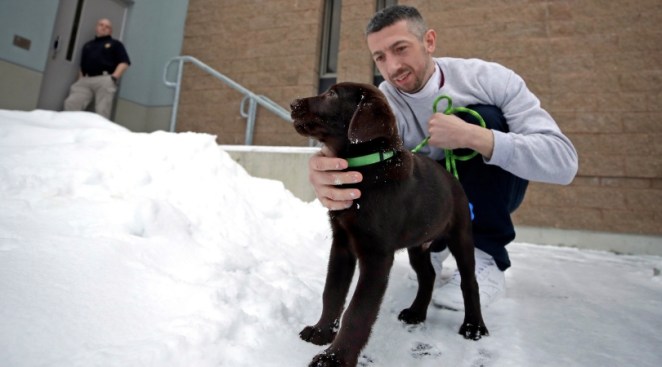 Inmates Battling Addiction Get An Unlikely Ally: A Puppy