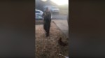 Watch: Police Officer Fired After Shooting Small Barking Dog During Service Call