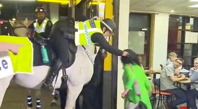 Video Shows Woman Punching Police Horse Before Being Wrestled to The Ground by Officers