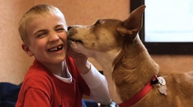 7-Year-Old Rescues More Than 1,300 Dogs From High-Kill Shelters