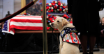 Sully Service Dog President George HW Bush