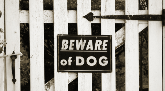 Dogs Kill Florida Toddler