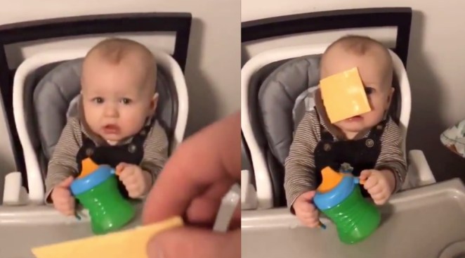 People Are Throwing Cheese At Babies, And We Can't Stop Laughing at The Reactions!