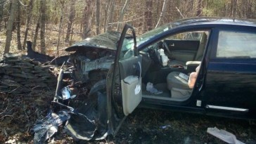 Woman Car Crash Spider