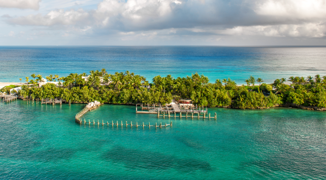 Shark Attack Bahamas