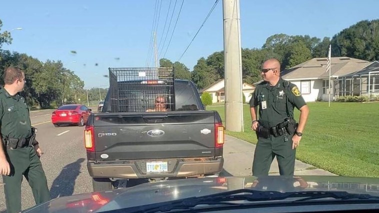 Florida man in dog cage.