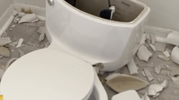 Exploding Toilet Florida