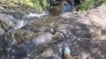 Hiker Fall Waterfall Video