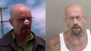 Walter White Mugshot