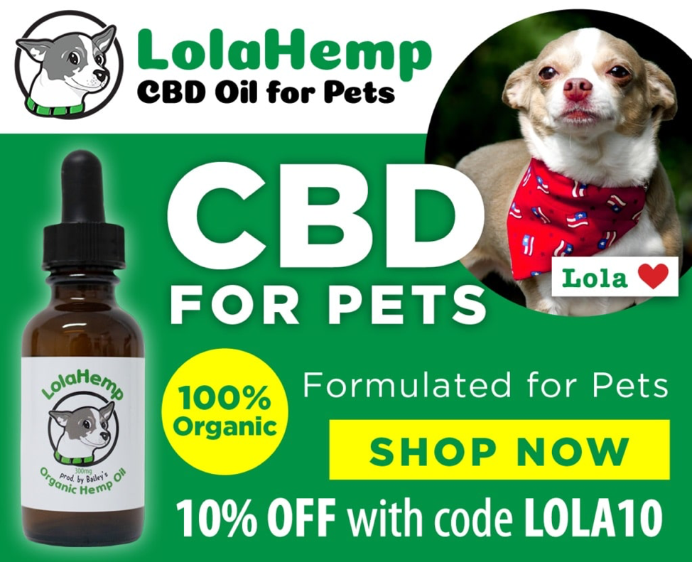 CBD Oil For Dogs LolaHemp