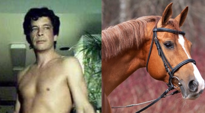 Horse sex in in Dallas