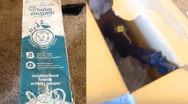 Baby Einstein Assault Rifle