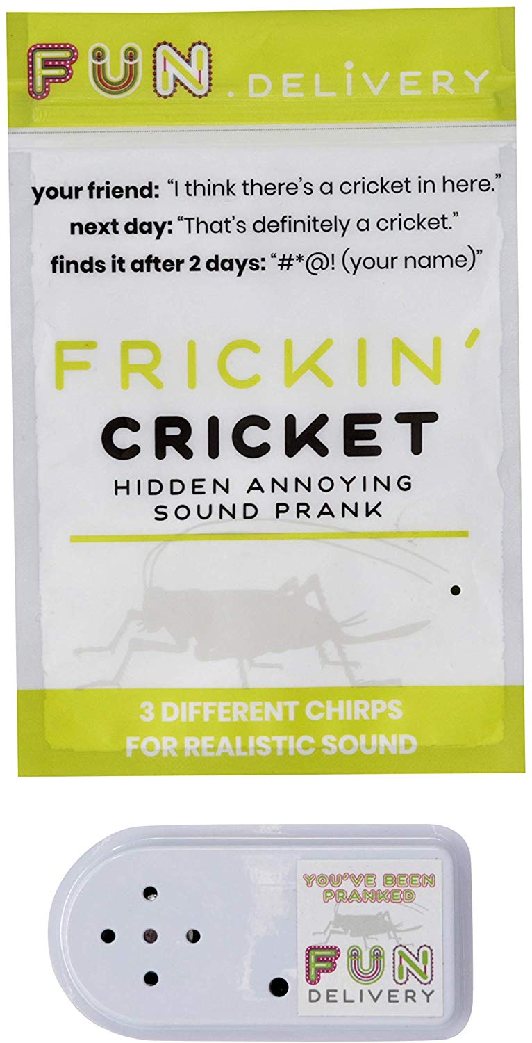 FUN delivery: Frickin' Cricket Hidden Annoying Chirping Joke Gag Prank Sound