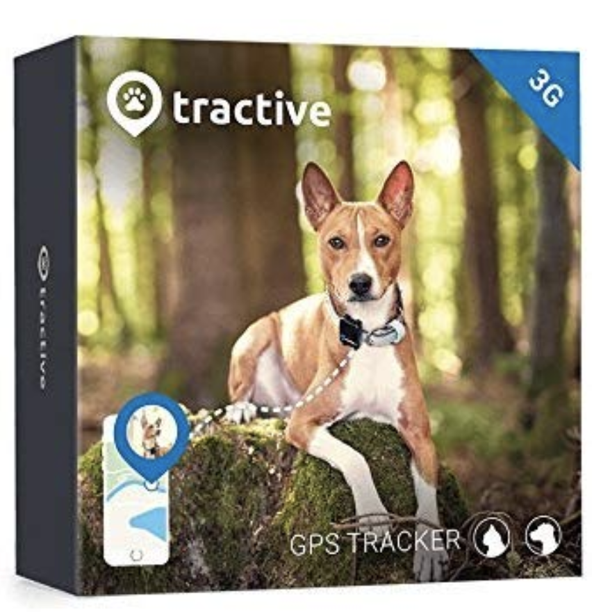 Dog GPS Tracker