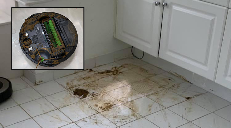 Man's Roomba 'Cleans' Up His Dog's Poop, to Spread it House - Rare